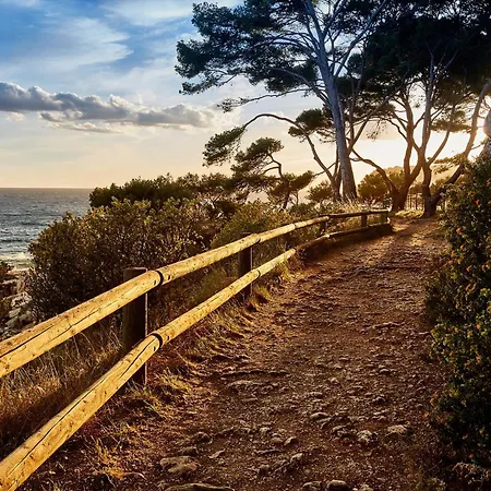 Plein Large 3* Bandol