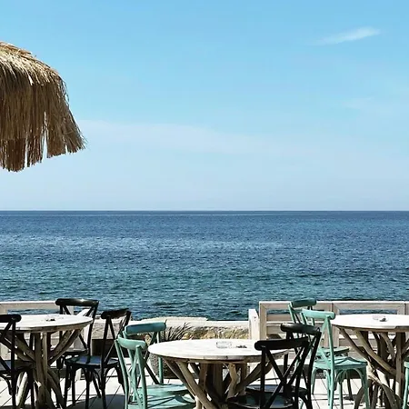 Plein Large 3* Bandol